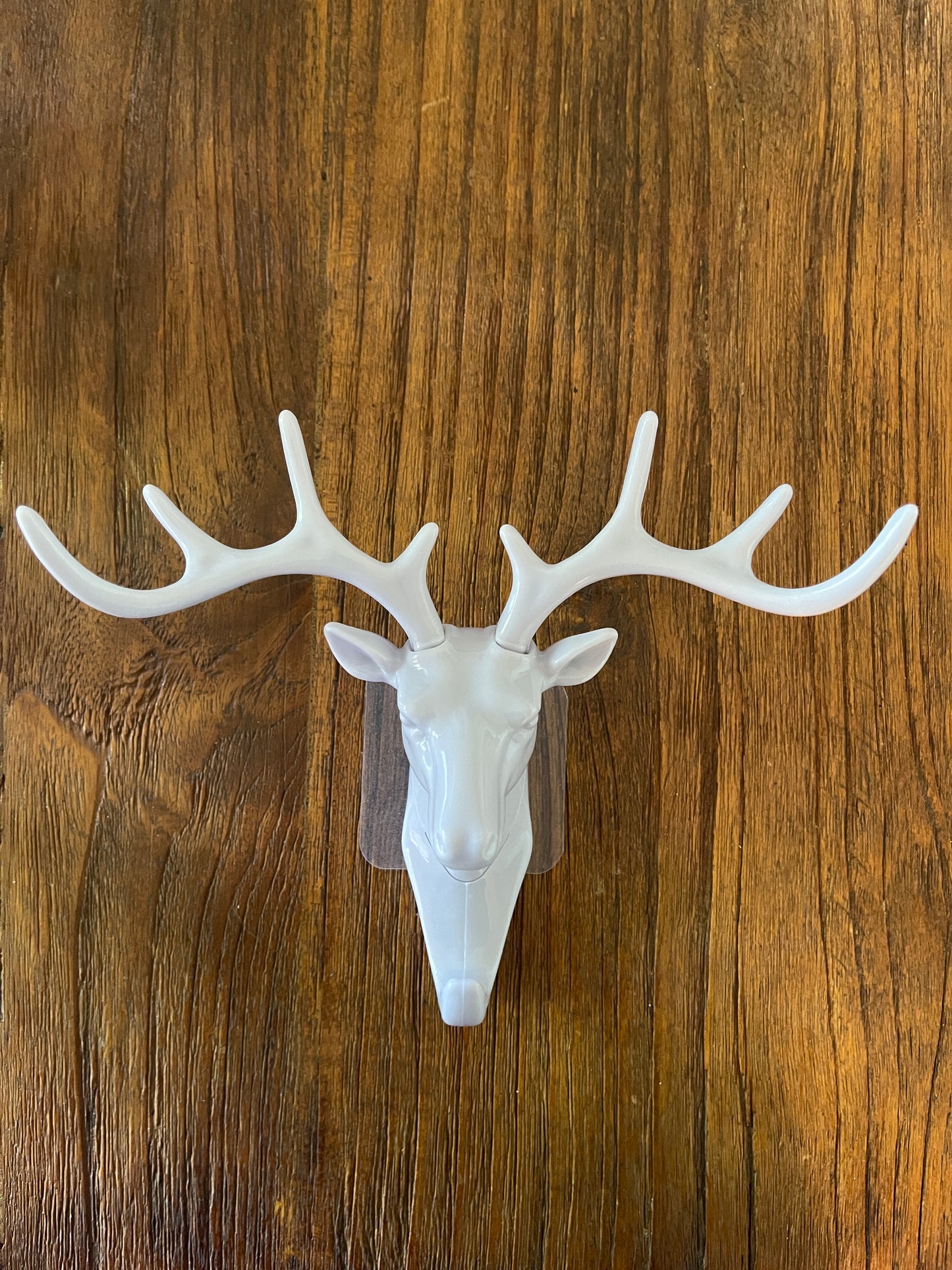 Stag Coat Hook